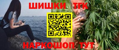 хмурый Кингисепп
