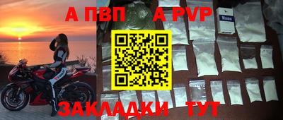 хмурый Кингисепп