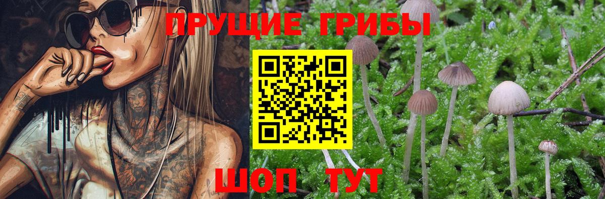 Псилоцибиновые грибы Cubensis  Галлюциногенные грибы Psilocybine cubensis  Красноярск  где найти наркотики  Вход с VPN 
